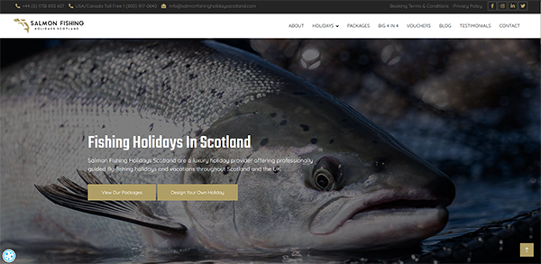 Screenshot of the Salmon Fishing Holidays Scotland website