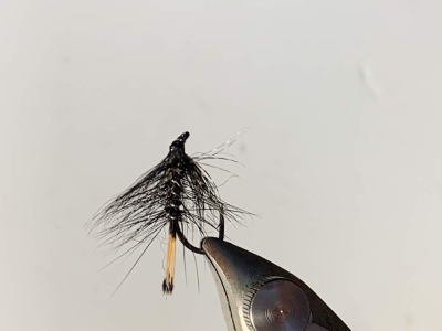 Modified pennel 2