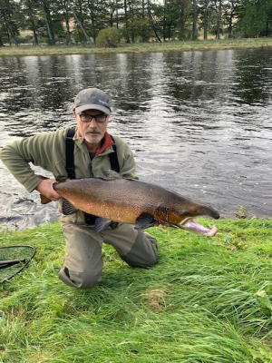 Dee salmon