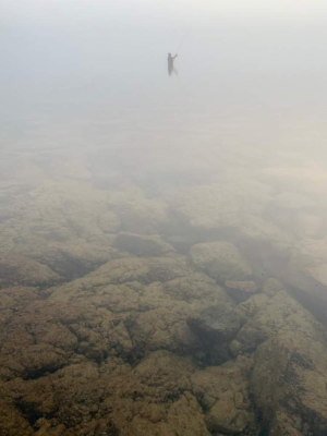 casting in the mist