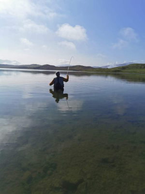 playing fish