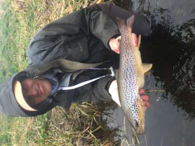 Brown trout from the Don for Nicolas
