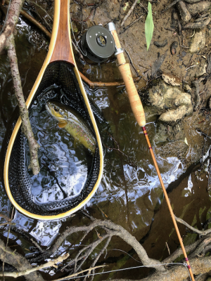 1st cane rod trout