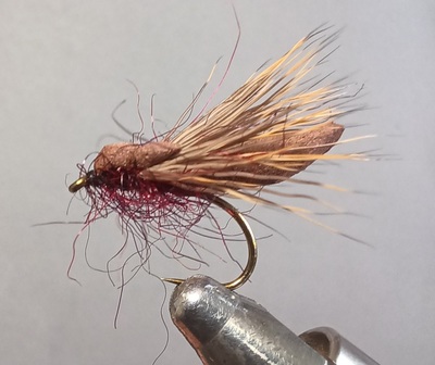 Balloon claret
