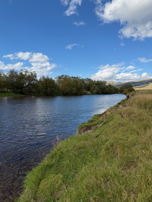 A lovely bank for sitting an watching....