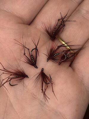 Hoppers 1