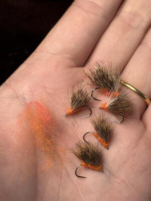 Hogs 1