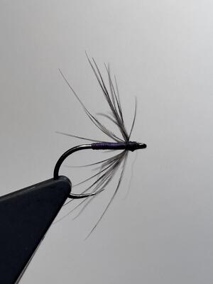 Snipe and purple