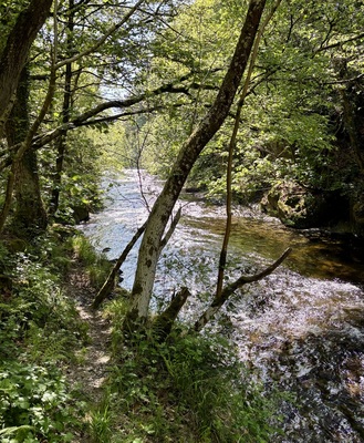 Afon Clewedog