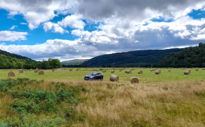 Volvo in a field