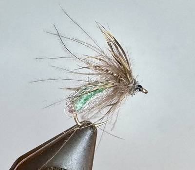 Deep sparkle pupa