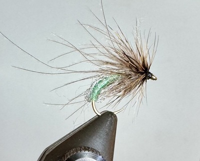 Surface sparkle pupa
