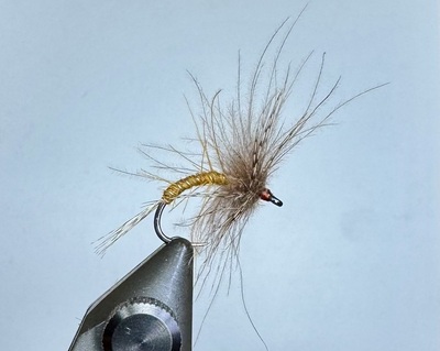 Curved CDC spider