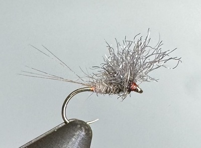Iron blue V wing