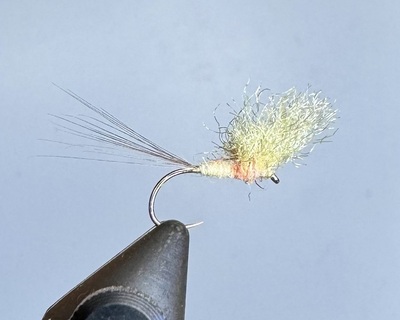Yellow May V wing