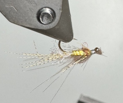 Captive dun underside