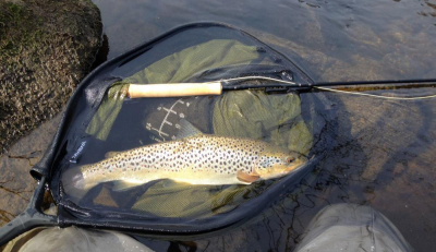 Nice April trout released by Liam
