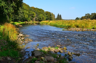 River Don Walk