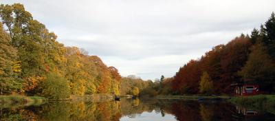 Autumn at Haddo Trout Fishery