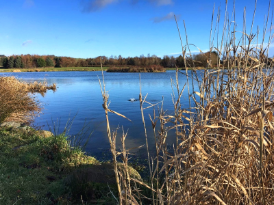 Lochter Fishery - January 2023