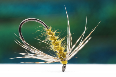 Olive Soft Hackle by Lucian Vasies
