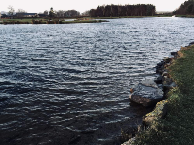 Lochter Report - Backs to the Wind at Lochter