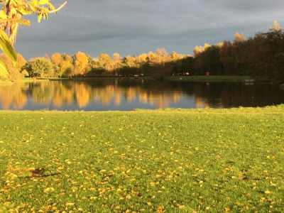 Lochter Report - Autumns Golden Backdrop
