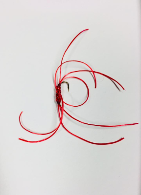 The Apps Bloodworm