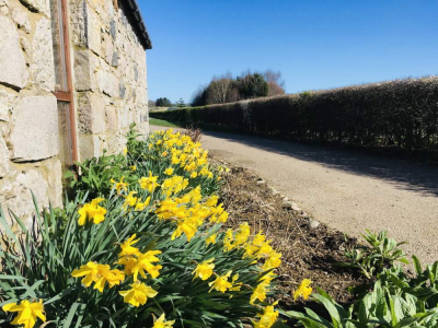 Lochter Report - Flowering Success at Lochter
