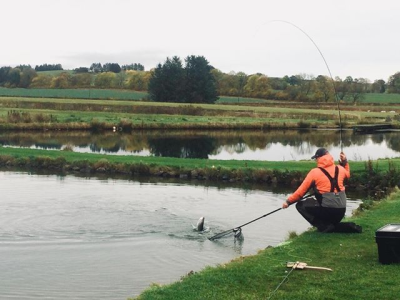 Autumn Single Comp