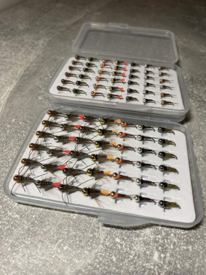 Bugs