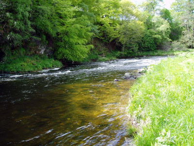 The River Don
