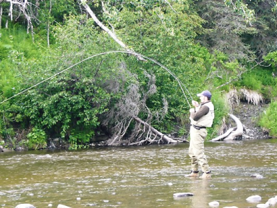 Anchor river Alaska