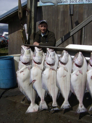 ALASKA HALIBUT