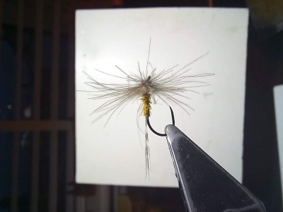 Old yellow