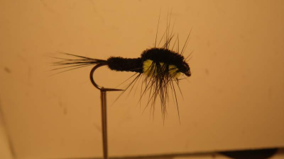Montana Nymph
