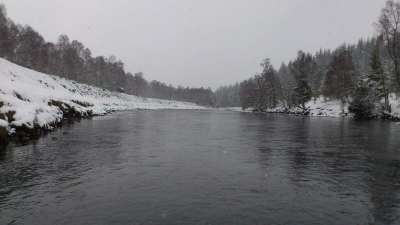 River Dee 19 March 2013