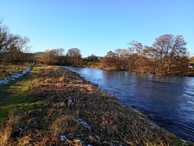 River Don February