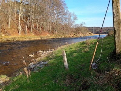 River Don in March