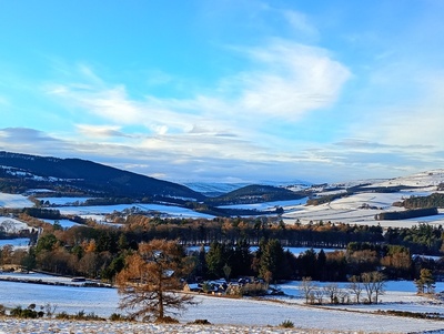 Winter walk