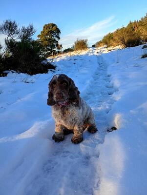 Winter walk