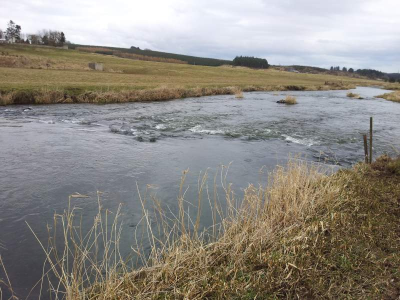 Ythan Downstream