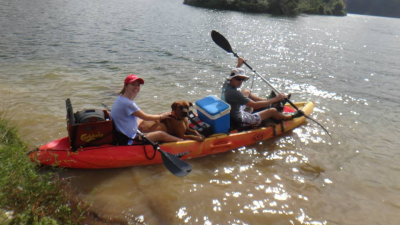 Dogs in Kayak