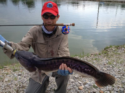 G.Snakehead on Surf Candy