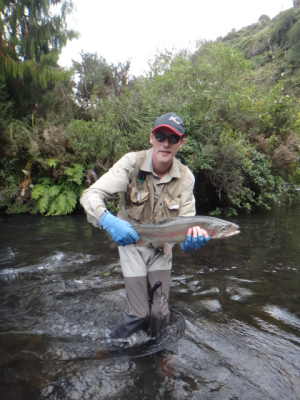 Taupo trout