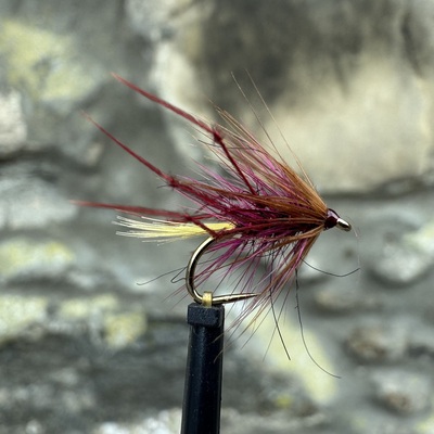 Leggy Claret and Magenta Wet