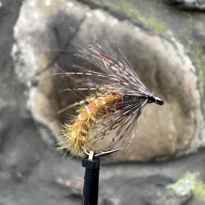 Bee Cee Caddis Pupa