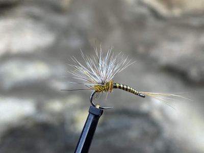 Reversed Parachute Emerger Quill Body