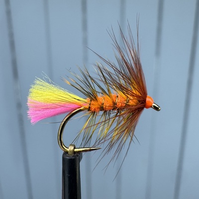 Candy orange wet