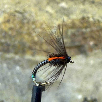 Wet Midge
